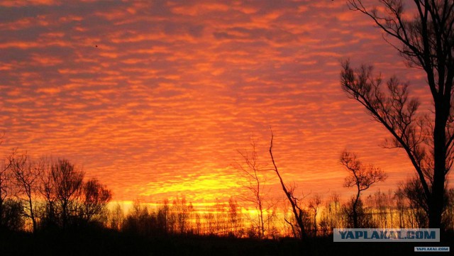 Красота природы не зависит от....