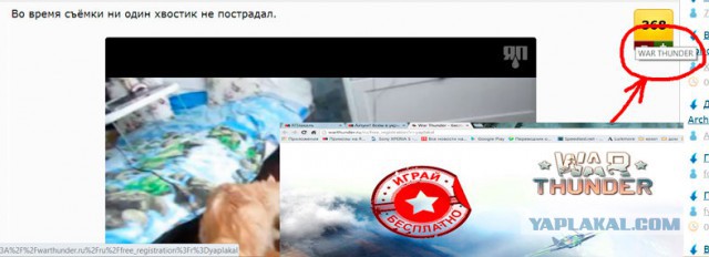 Ахтунг!  Всем  в  укрытие!