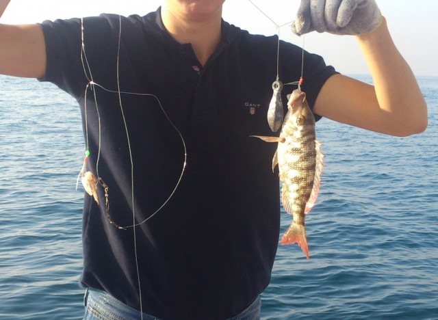 Рыбалка в Персидском заливе