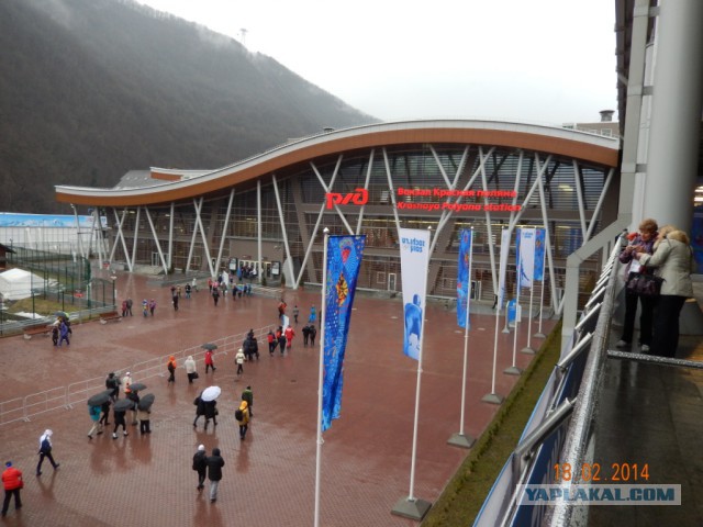 Два дня на Олимпиаде