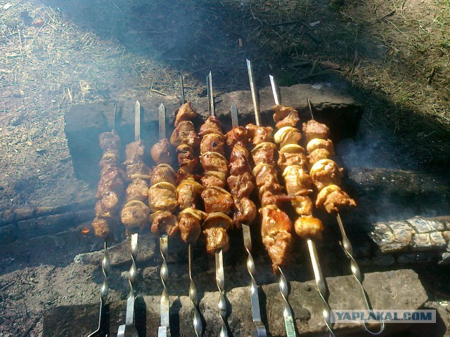 Сезон открыт!