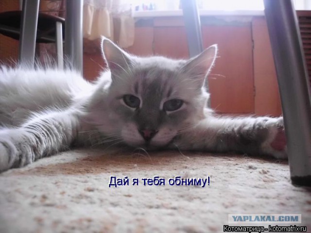 Разведёнка? Вердикт: ВИНОВНА!