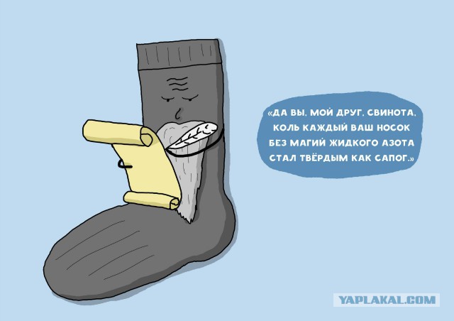 Картинки  разные