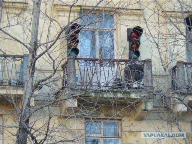 41 веселая картинка