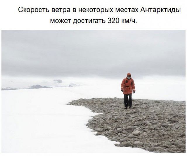 Чего мы не знали об Антарктиде