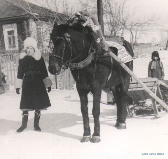 Лица Советской эпохи: Советская свадьба