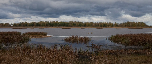 Мещерская магистраль