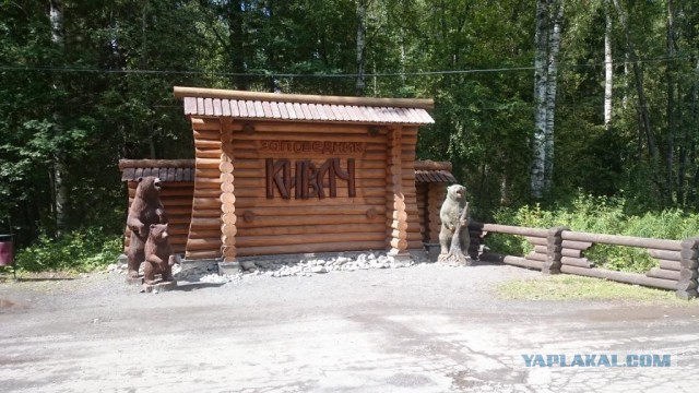 Две недели впечатлений.