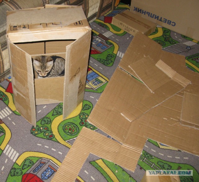 TERMINATOR одно из продолжений