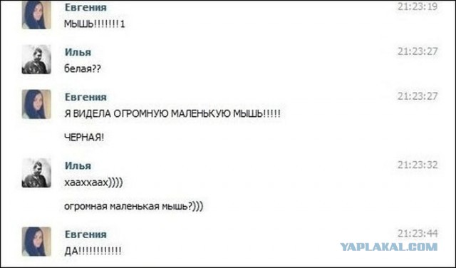 Смешные комментарии из соцсетей