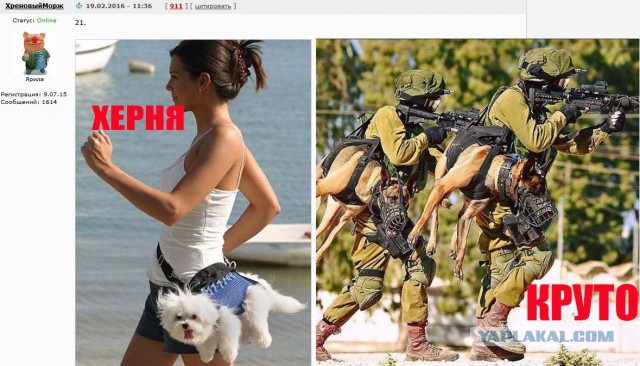 Ну а что? Все правильно сделал!