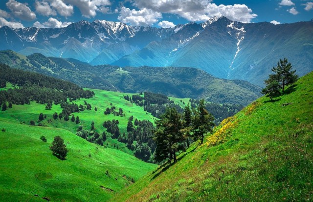 Подборка картинок