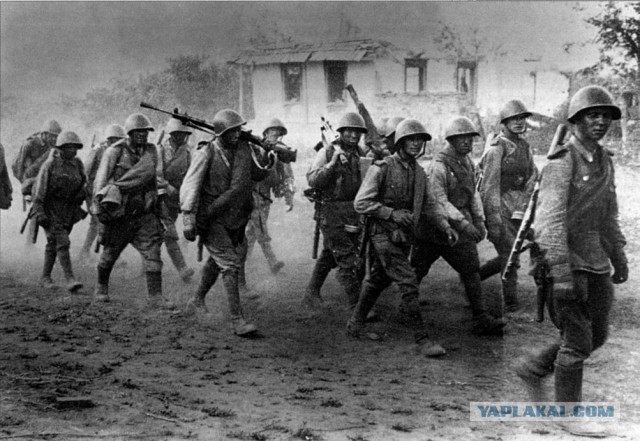 Сильные фото