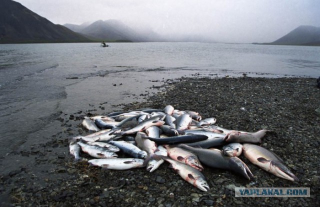 Магадан, старые и новые фотки