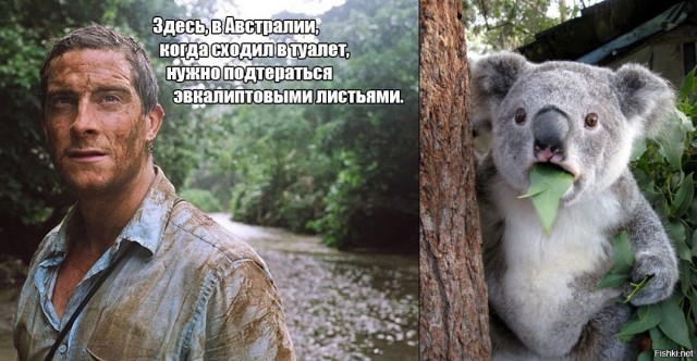 Шокирующая Австралия