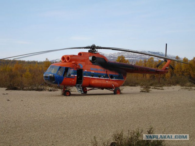 Твое лицо, когда выжил в авиакастрофе