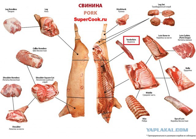 Кулинария. Вопросы и ответы, ...