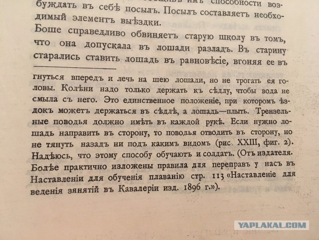 Идиот утопил лошадь