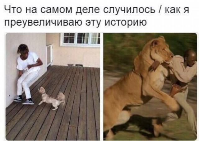 Приколы в стиле "регресс"