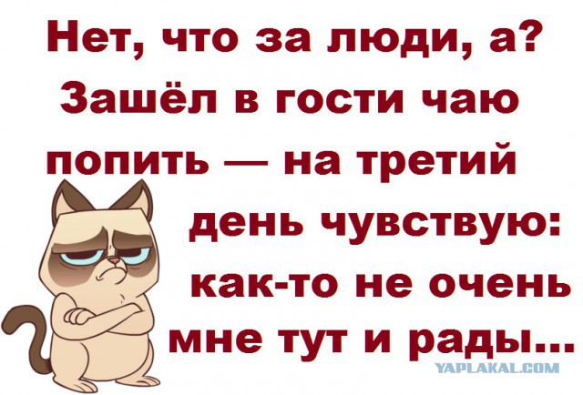 Котейка поломался