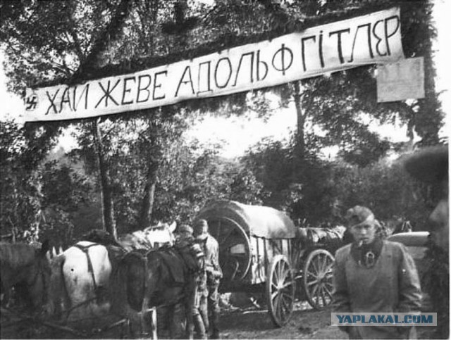 Интересные и редкие фотографии
