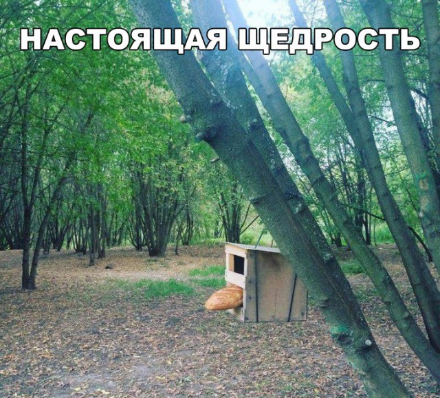 Подборка интересных и веселых картинок