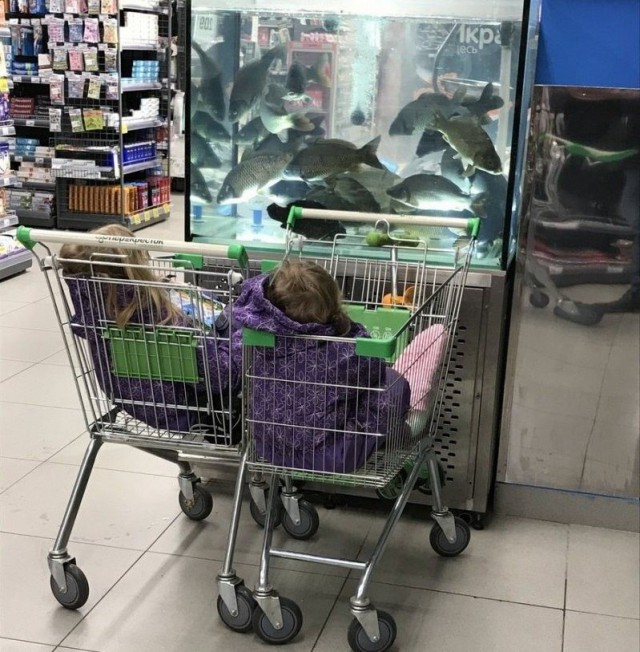 Нестандартный юмор