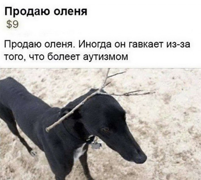 Скотсети и прочие интернеты 12.03.18