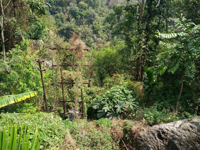 К живым мостам и обратно. Заметки из Индии