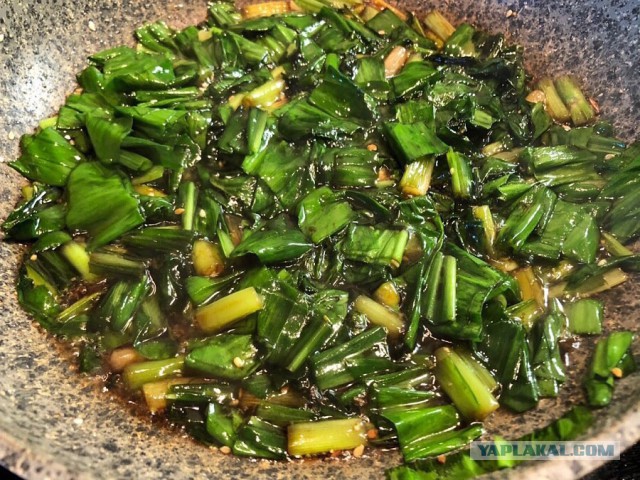 Черемша - полезная и вкусная:)