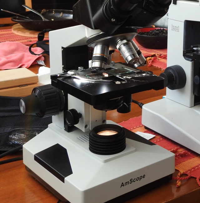 Свиные Ребрышки БарБеКю