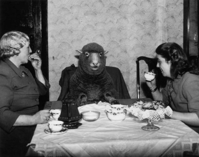 История в фотографиях