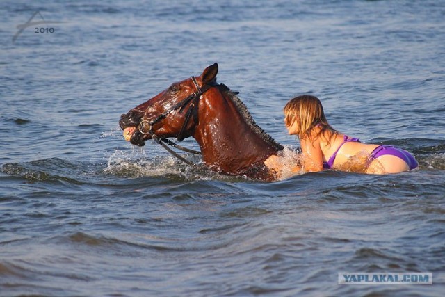 Кони, девушки и море