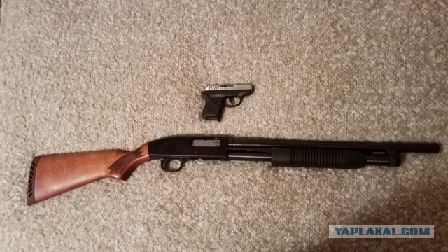 Оружейная эстетика: Kel-Tec KSG