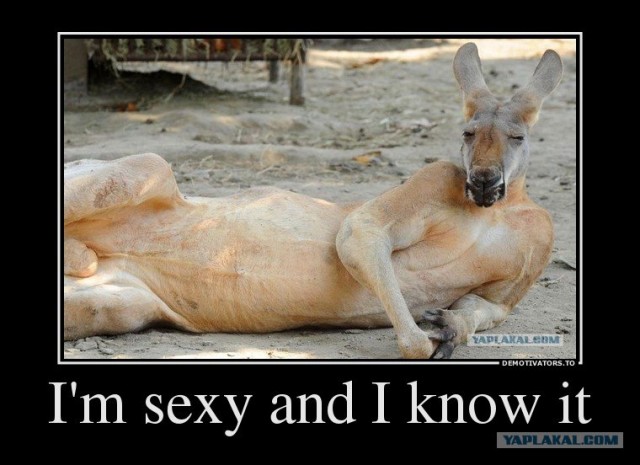 Крошка, иди ко мне