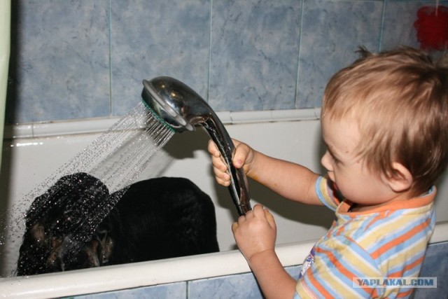 Лучшие друзья навсегда