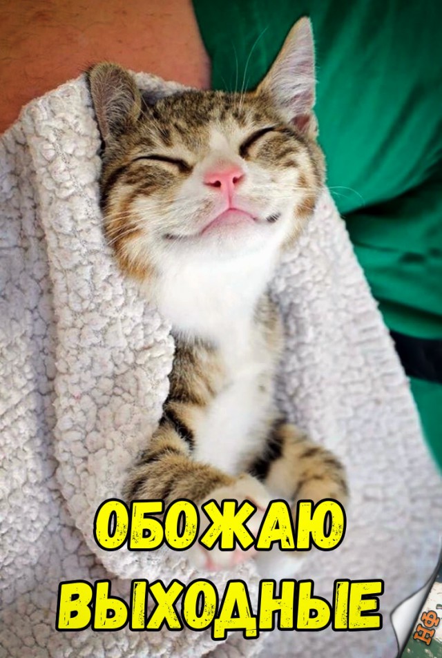 Прикольные картинки абавсём