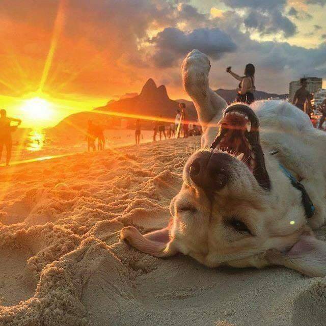Фотоинтересности