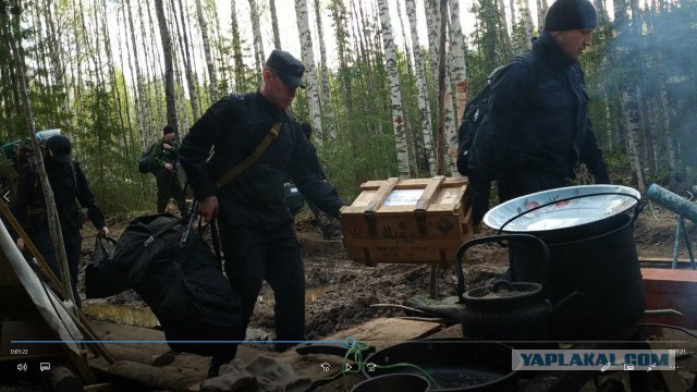 Жители Сыктывкара требуют вычистить мусор из власти