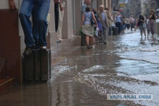 Ураган во Львове.