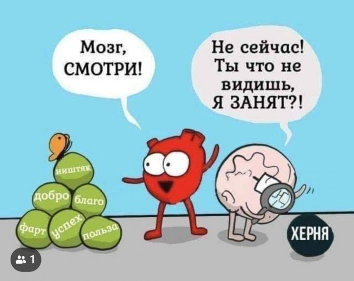 Бредзона 17.01.2020