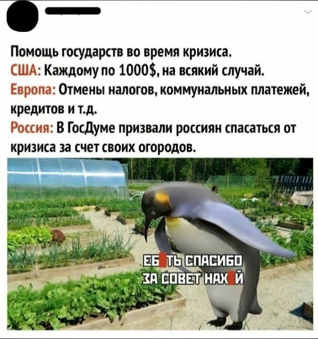 Картинки разные с Коронавирусом и без для настроения!