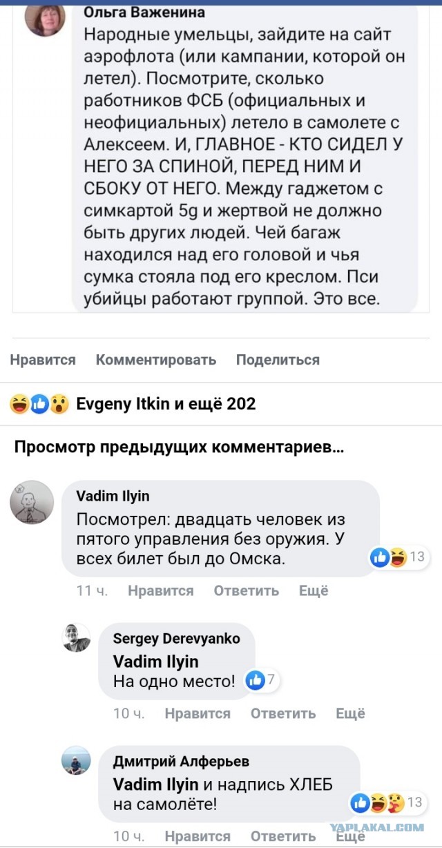 Бредзона 24.08.2020