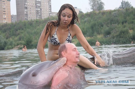 А давайте пожабим эту деваху