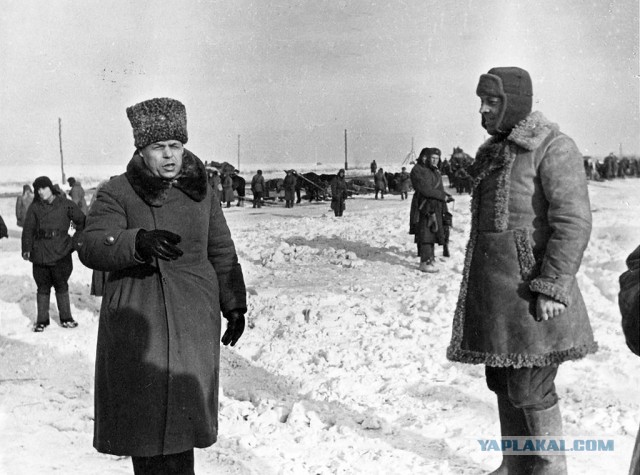 И смех и грех: зимняя экипировка солдат вермахта в 1941-1942 годах