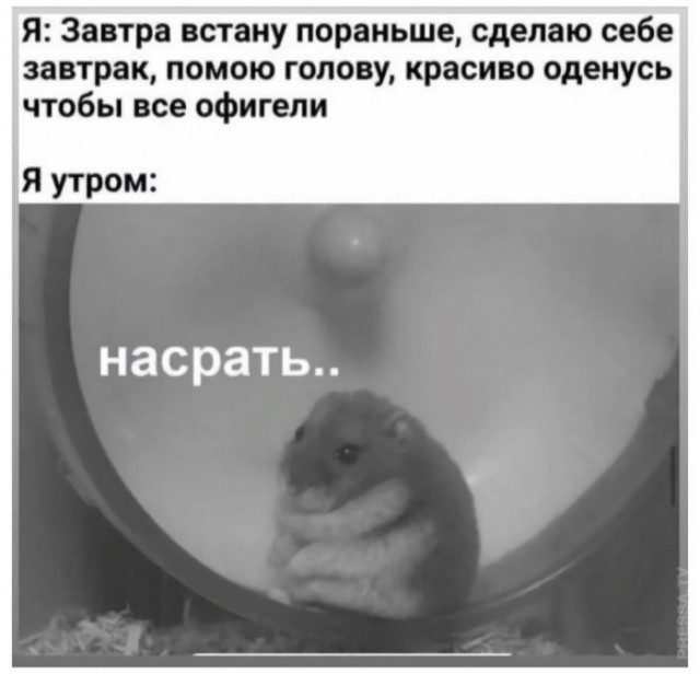 Немного картинок для настроения 06.10.20