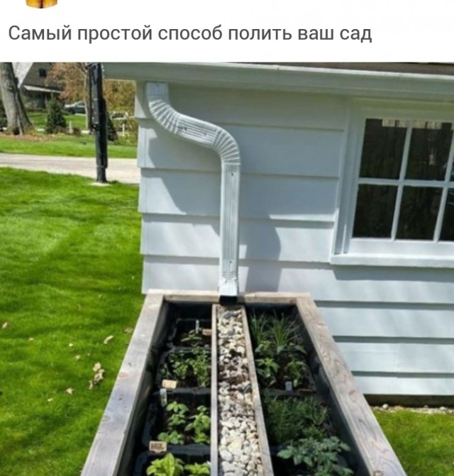 21 занимательный снимок, среди которых есть инопланетная капуста и треугольные арбузы