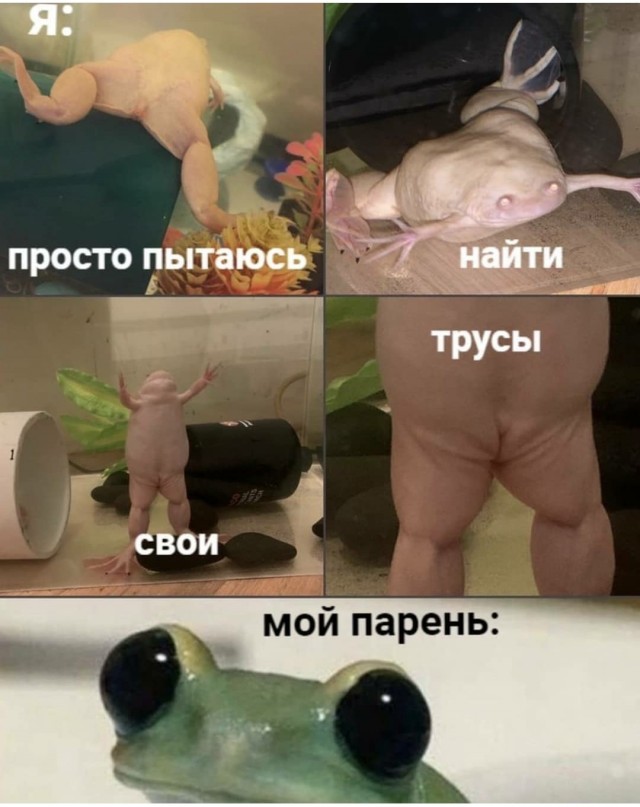 Прикольные картинки 02.12.20