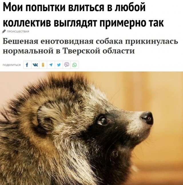 Картинки с надписями и всякие жизненные фразы