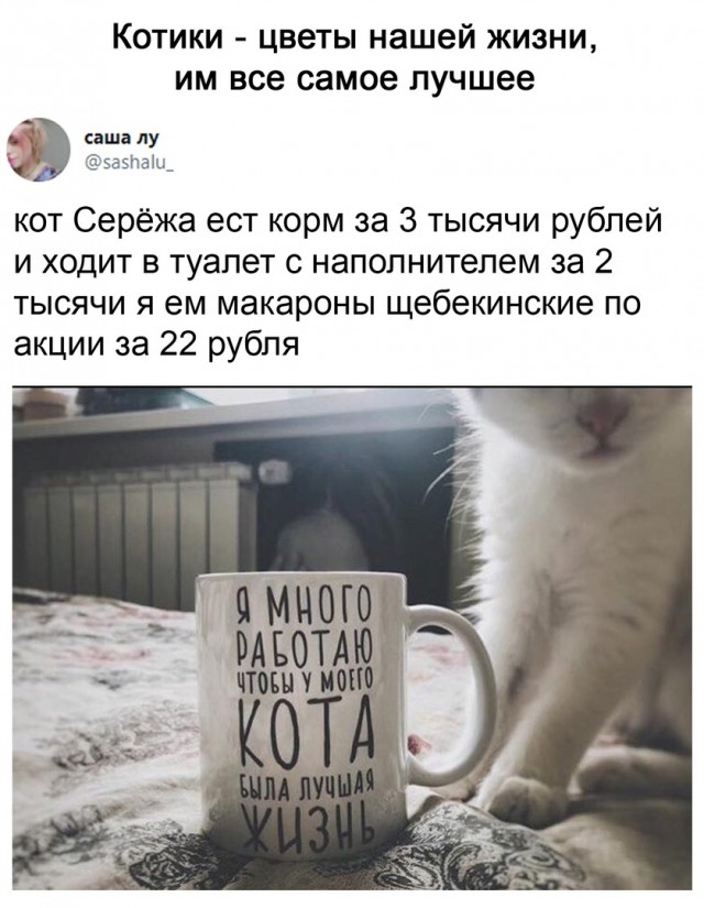 Дебилизмы из сети 8.02.21